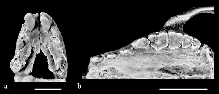 Fig. 3