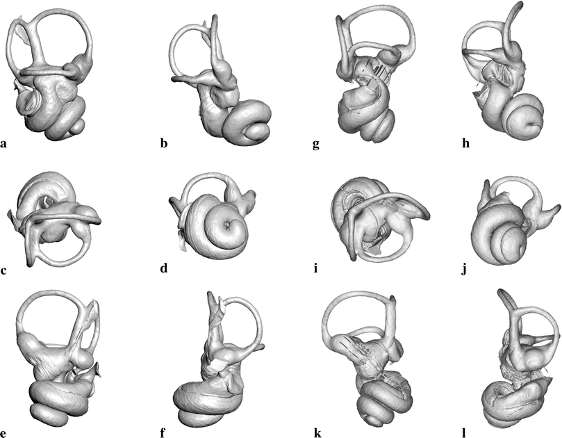 Fig. 7