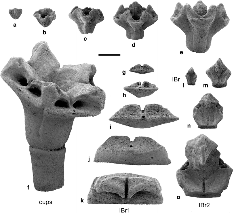 Fig. 3