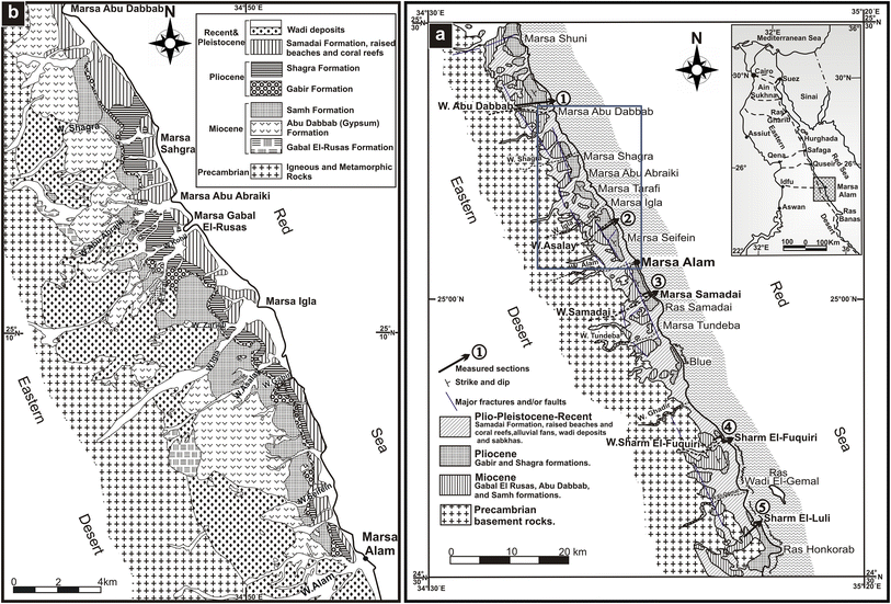 Fig. 1