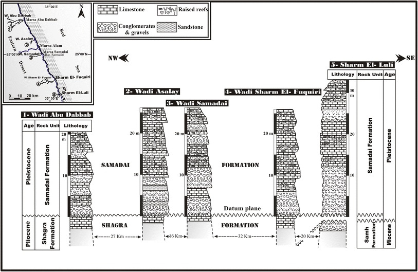 Fig. 2