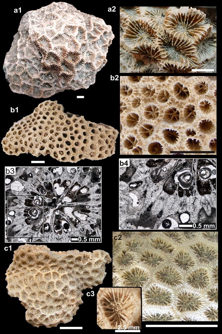 Fig. 5