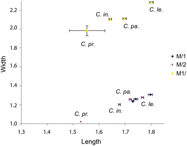 Fig. 31