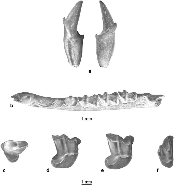 Plate 10