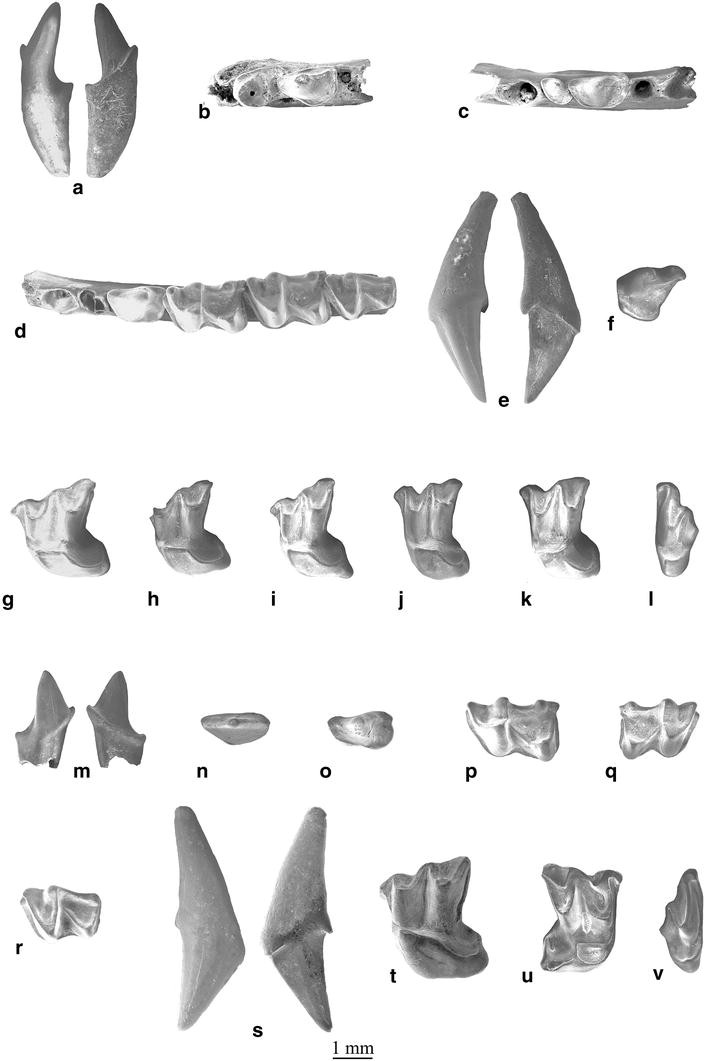 Plate 12