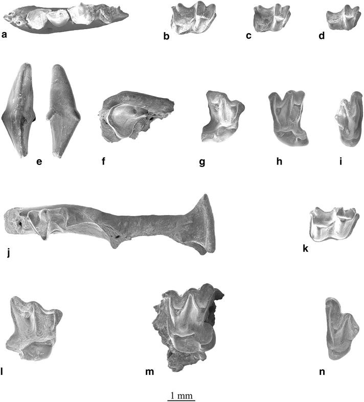 Plate 13