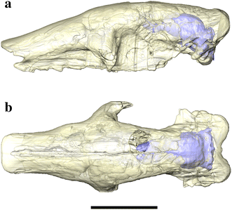 Fig. 1