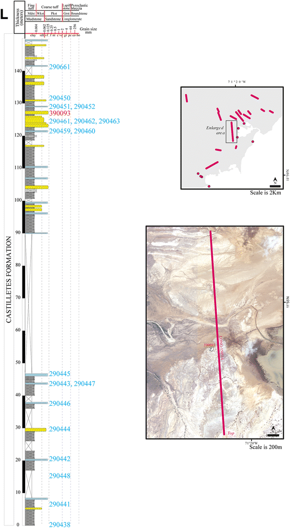 Fig. 3