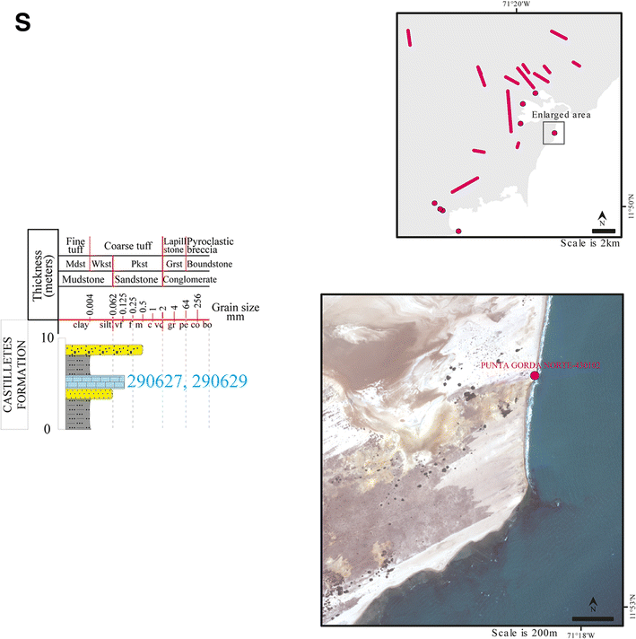 Fig. 3