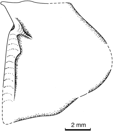 Fig. 5