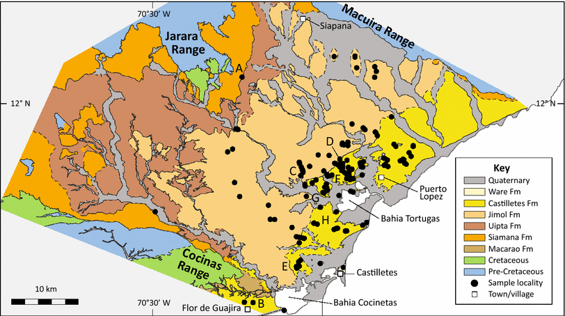 Fig. 2