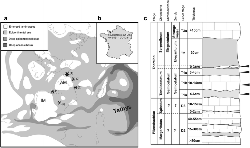 Fig. 1