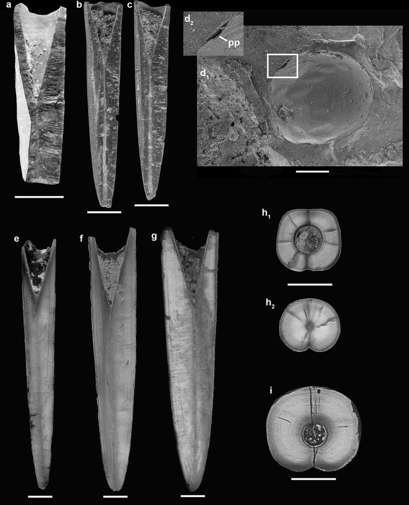 Fig. 3