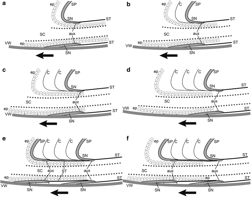 Fig. 11