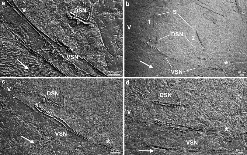 Fig. 7