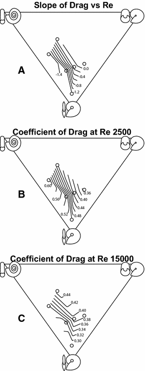 Fig. 5