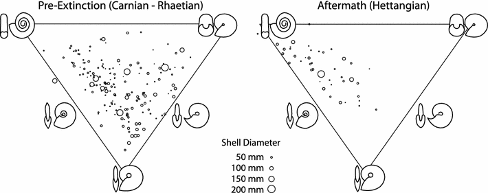 Fig. 7