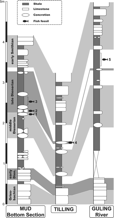 Fig. 2