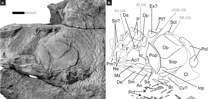 Fig. 5