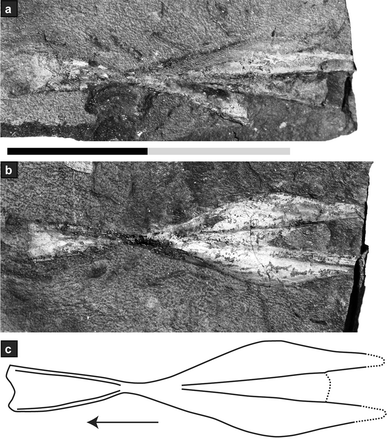 Fig. 8