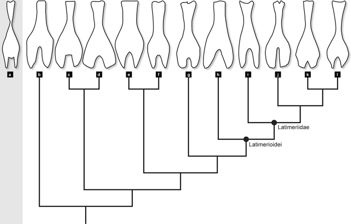 Fig. 9