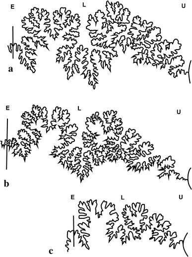 Fig. 6