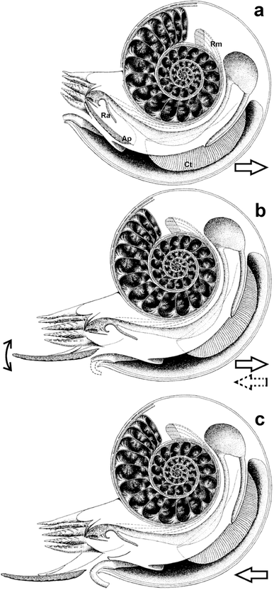 Fig. 2