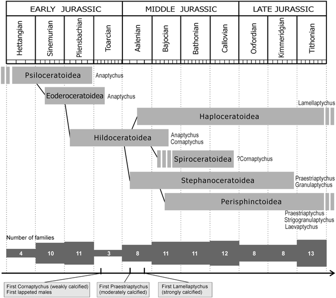 Fig. 4