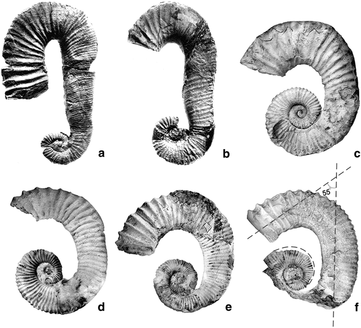 Fig. 2