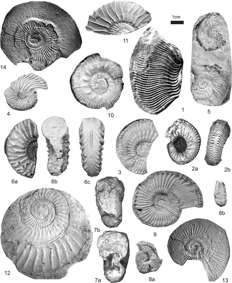 Fig. 2