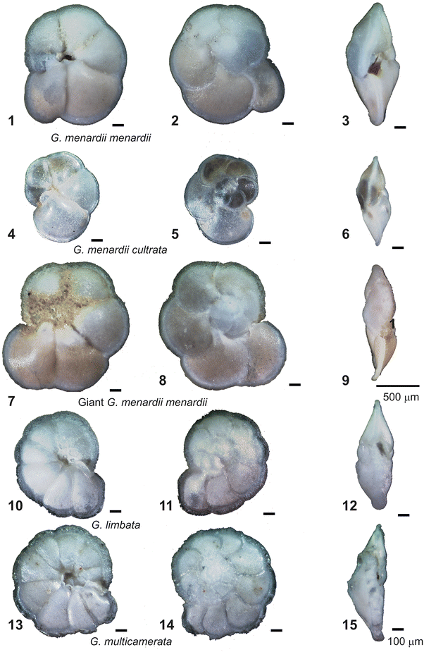 Fig. 18