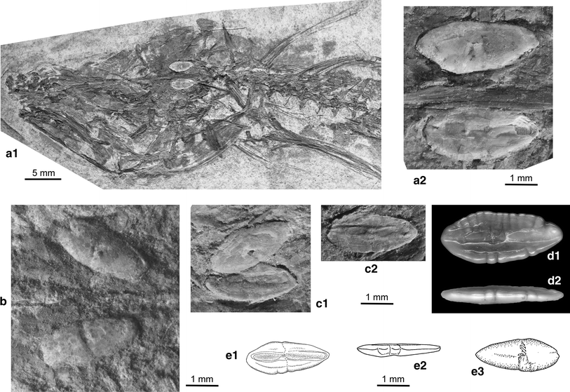 Fig. 2