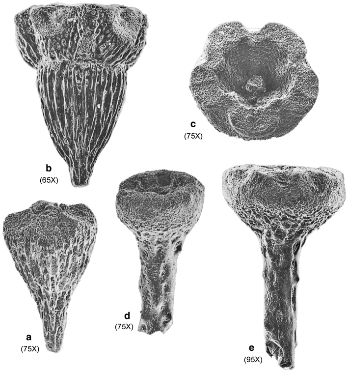 Fig. 5