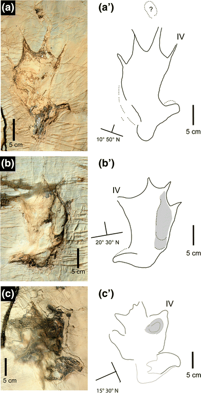 Fig. 10