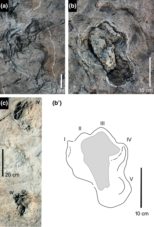 Fig. 11