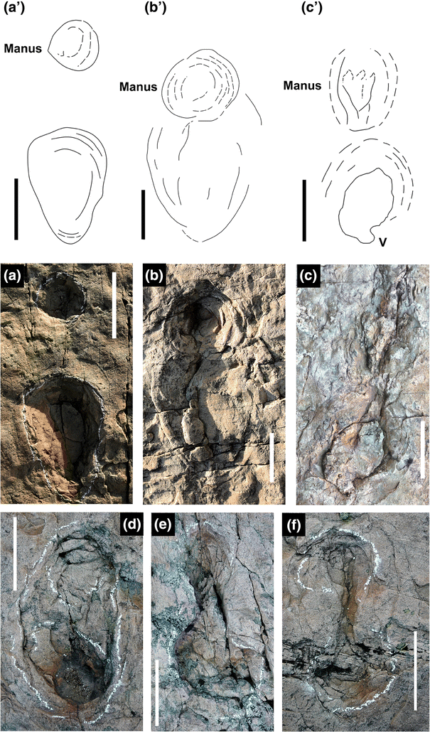 Fig. 5