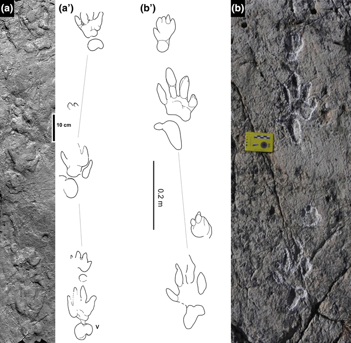 Fig. 8