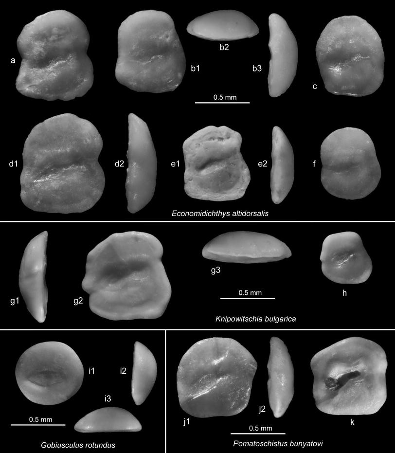 Fig. 10