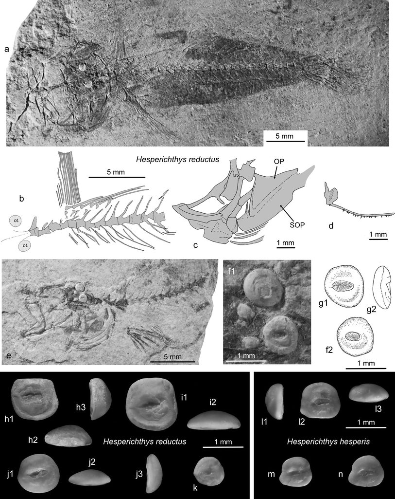 Fig. 11