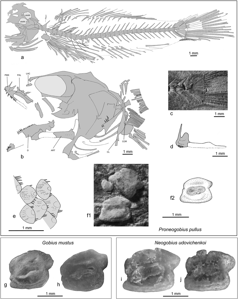 Fig. 7