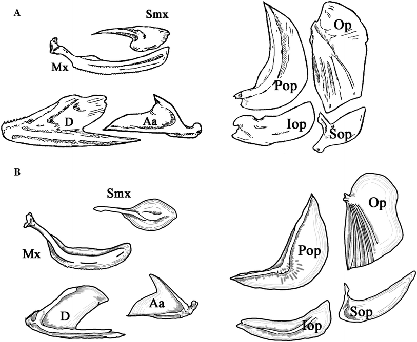 Fig. 2