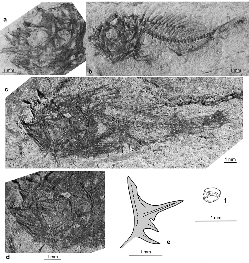 Fig. 1