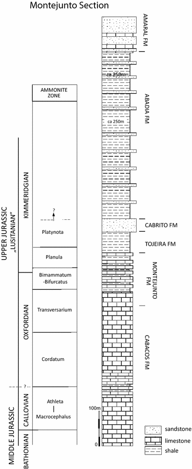 Fig. 1