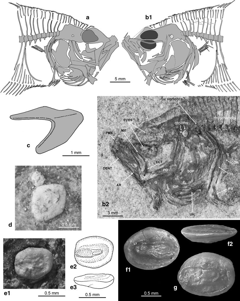 Fig. 2