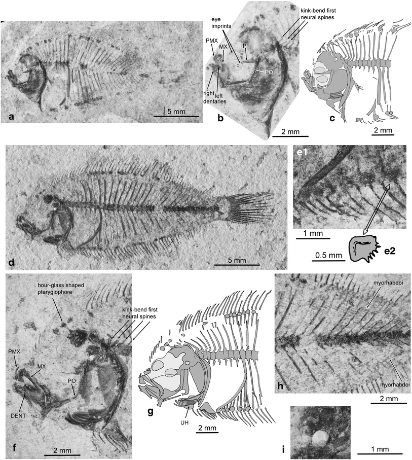 Fig. 3