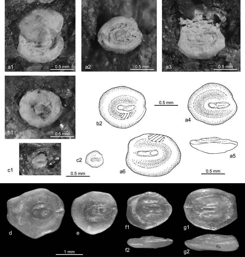 Fig. 6