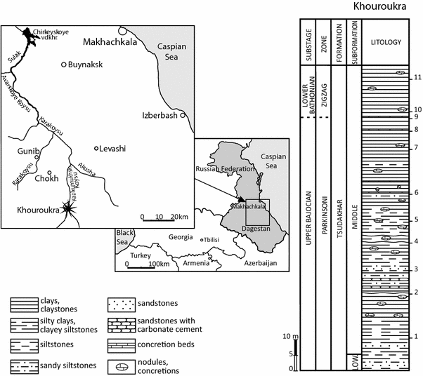 Fig. 9