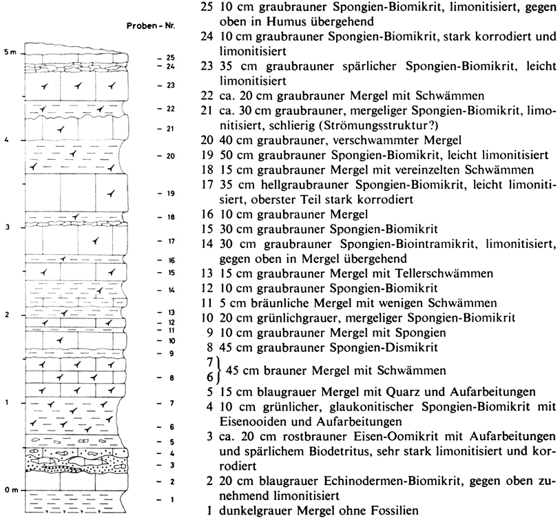 Fig. 16