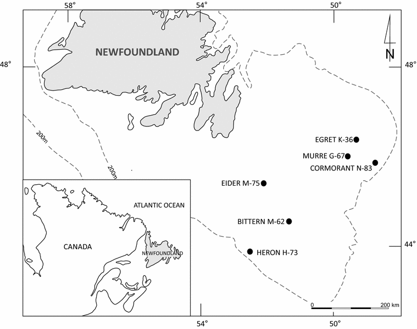 Fig. 2