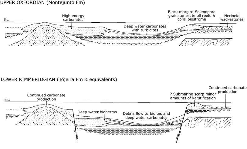 Fig. 5